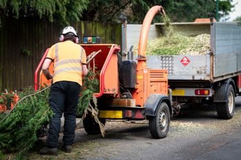 Wood chipper services in Tomball, Texas by Borjak Tree Experts, LLC