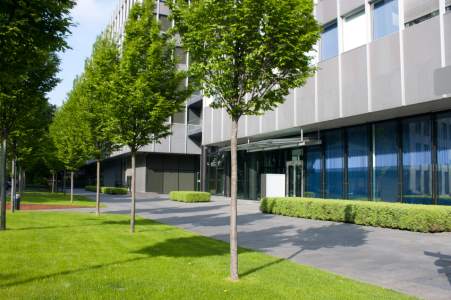 Commercial tree services by Borjak Tree Experts, LLC