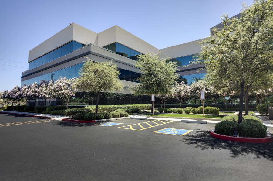 Commercial tree services by Borjak Tree Experts, LLC