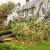 Spring Emergency Tree Removal by Borjak Tree Experts, LLC