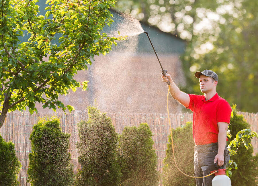 Tree Spraying by Borjak Tree Experts, LLC