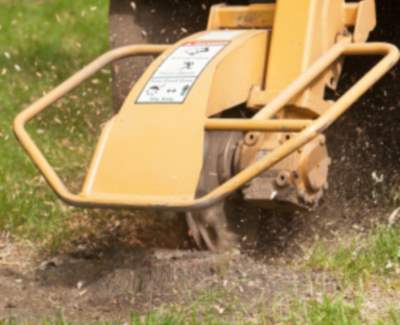 Stump grinding and removal in Tomball, Texas by Borjak Tree Experts, LLC