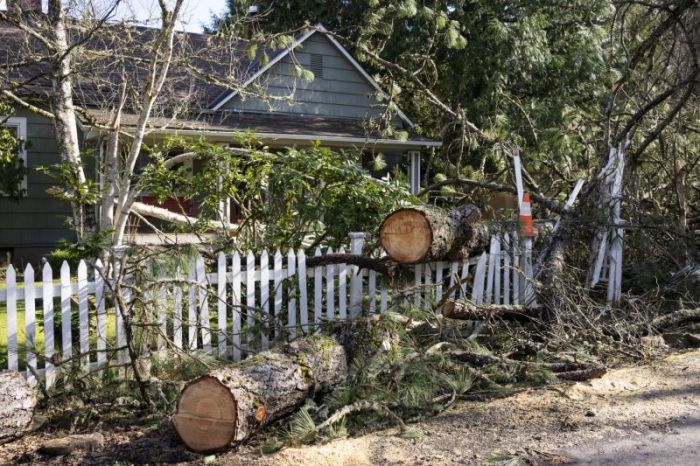 Fallen tree trunk and branches blocking a white picket fence beside a house after storm damage